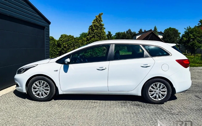 Kia Ceed cena 41500 przebieg: 111230, rok produkcji 2013 z Gogolin małe 407